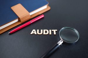 Income Tax Audit in India: Objectives & Procedure For Getting A Tax Audit Done