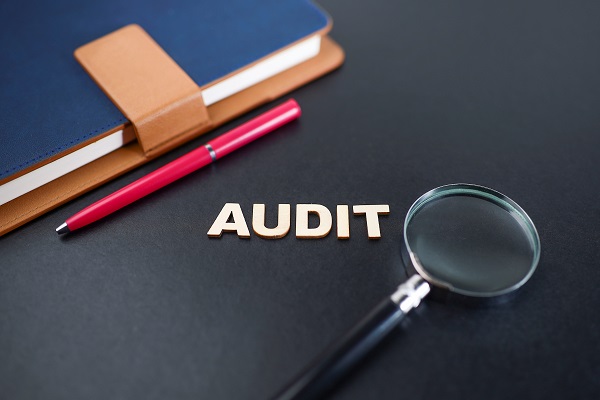 Income Tax Audit