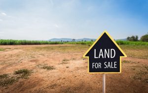 Land Market Value in AP: Its Impact, Role of IGRS And How To Check Land Market Value in AP Online