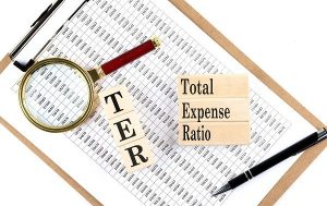 Total Expense Ratio (TER) In Mutual Funds: Calculation And Its Impact On Returns