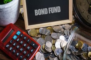 What Is Dynamic Bond Fund And Is It Worth Investing In?