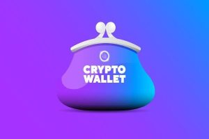 What Is A Crypto Wallet And How To Choose One? 