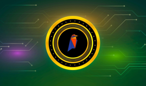 What Is Ravencoin And How To Buy It?