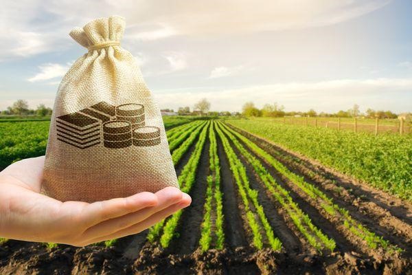 Agricultural Income Tax