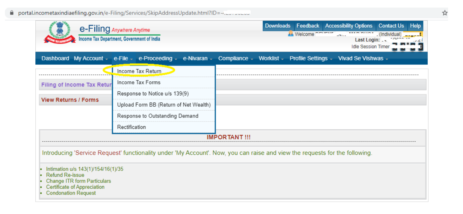 Visit the Official Income Tax Portal