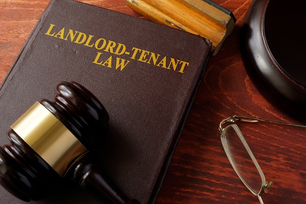 #TrendingNow: Tenant and Landlord Rights Explained in 2 Minutes