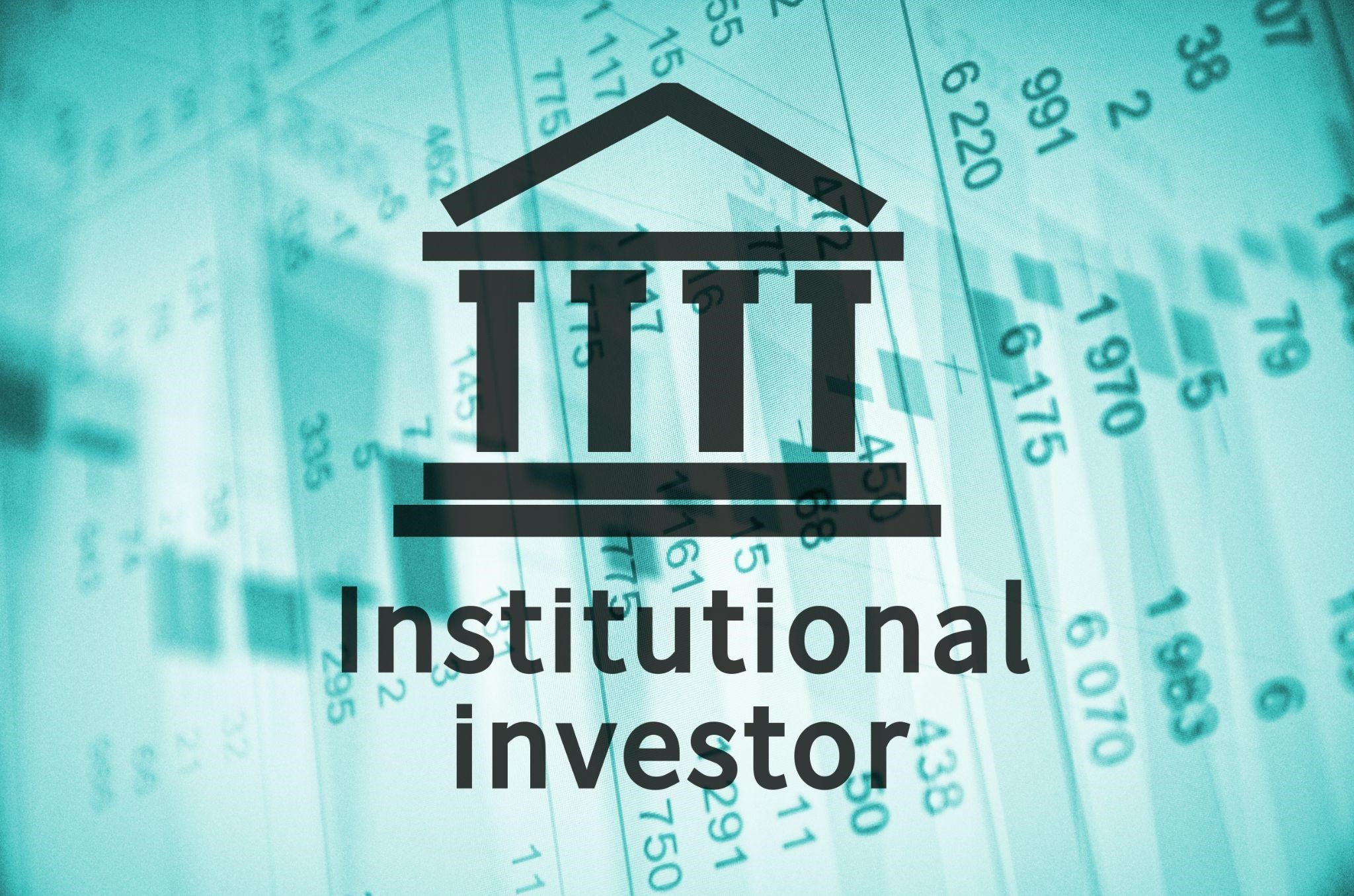 Institutional Investors