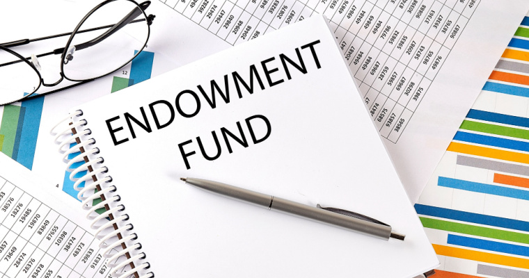 endowment-fund-meaning-features-restrictions