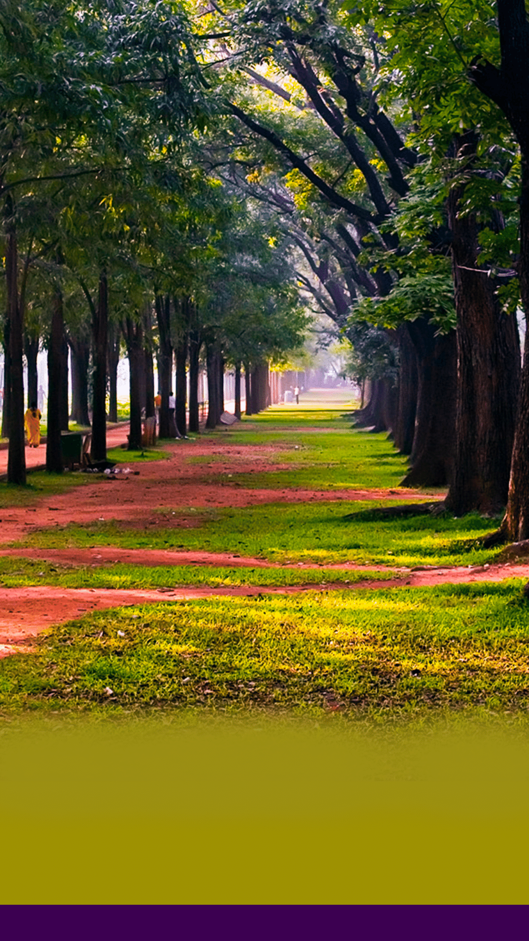 10 Romantic Pre-Wedding Photoshoot Places in Bangalore - NAVI-pedia