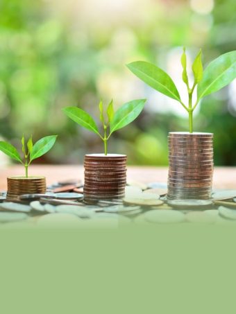10 Best Flexi Cap Mutual Funds to Invest in 2023