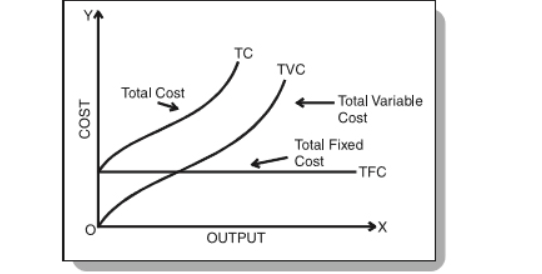 Short Run Total Cost Curve