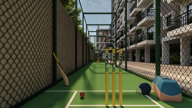 Practice Cricket Pitch